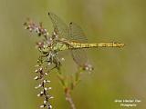 P7181884_filtered