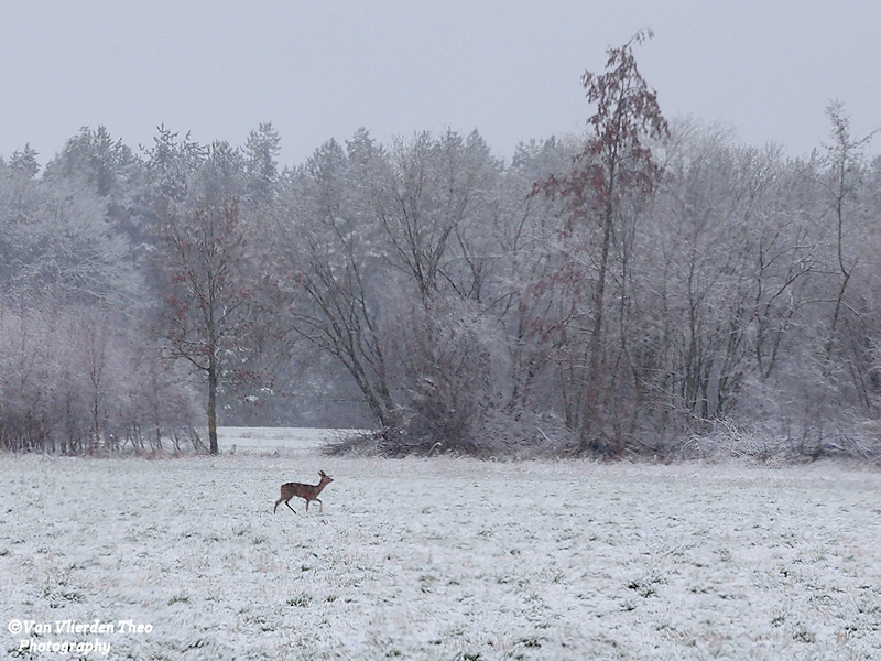 P2273536.JPG
