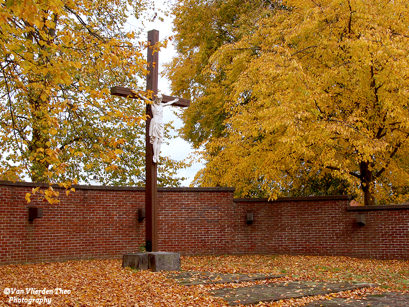 PA244648.JPG