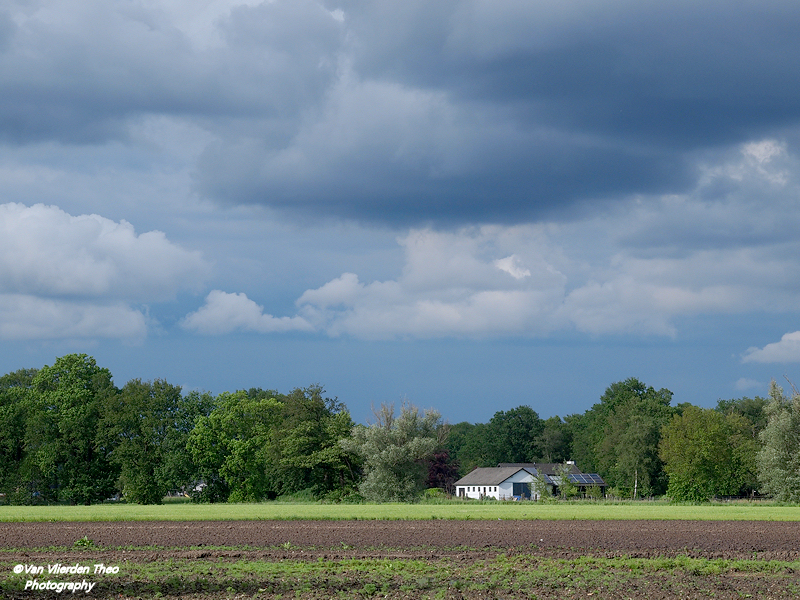 P5163481.JPG