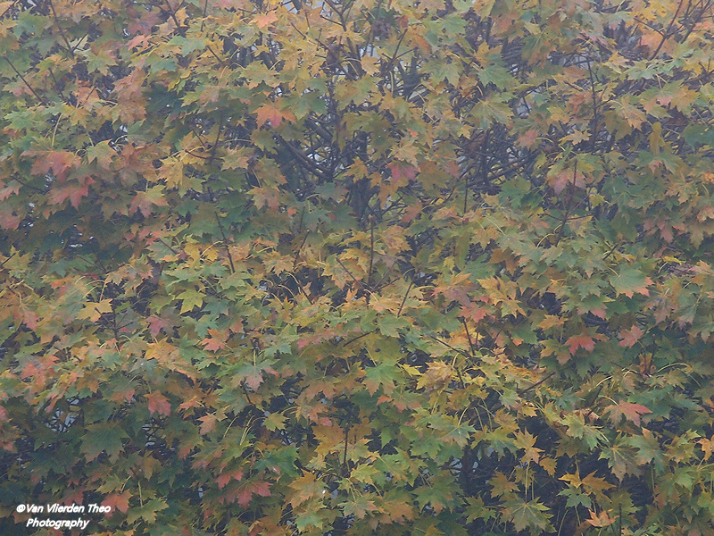 PB130051.JPG