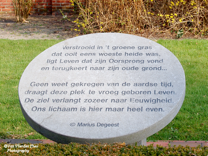 P3203263.JPG