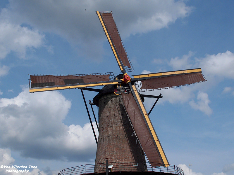 P4222317.JPG