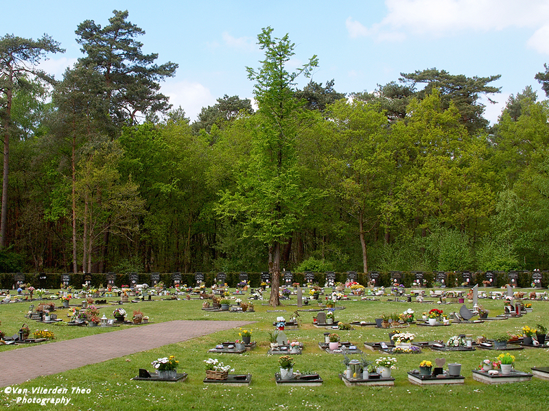 P4262365.JPG