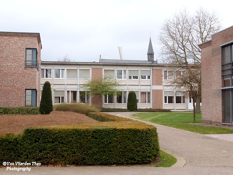 P3142872.JPG