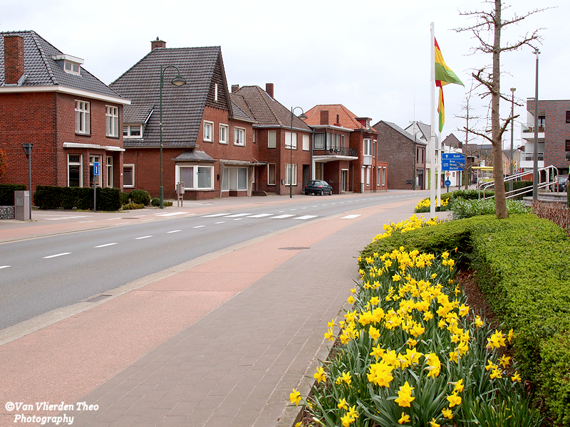 P3142874.JPG