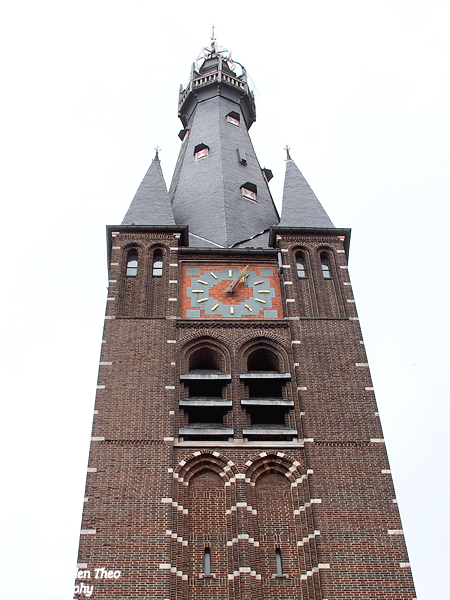 P3142910.JPG