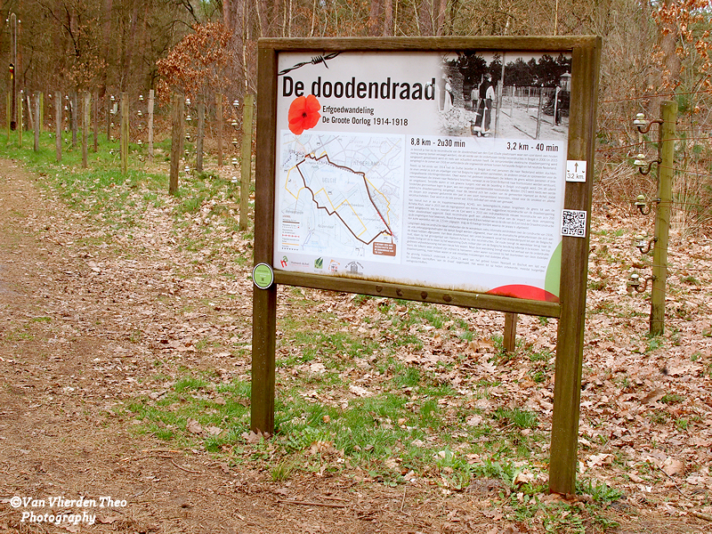 P3153034.JPG