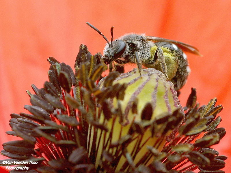 P6129227.JPG