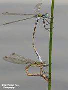 P8226100