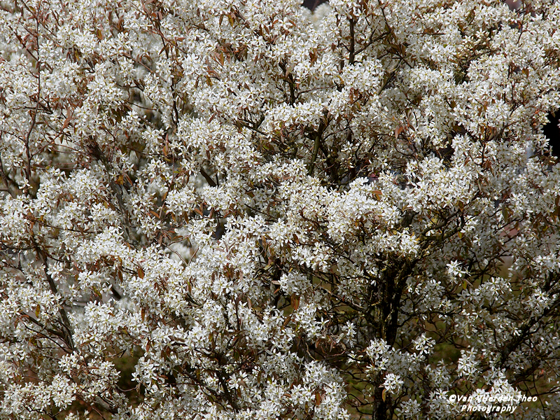 P3311942.JPG