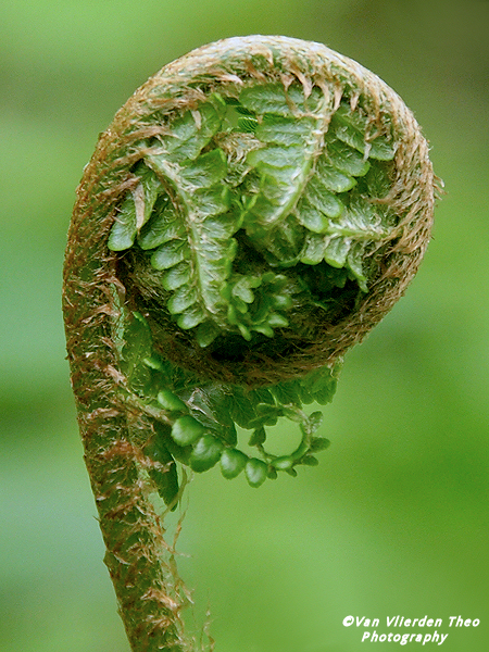 P4252358.JPG
