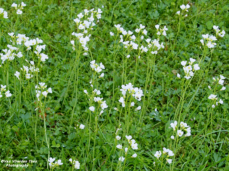 P4262371.JPG
